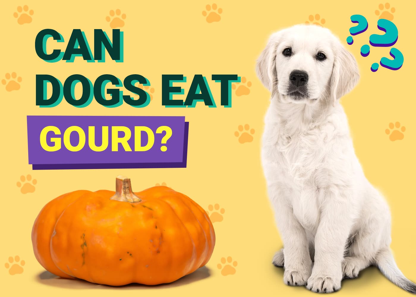 Can Dogs Eat Gourds? Vet-Verified Facts & FAQ