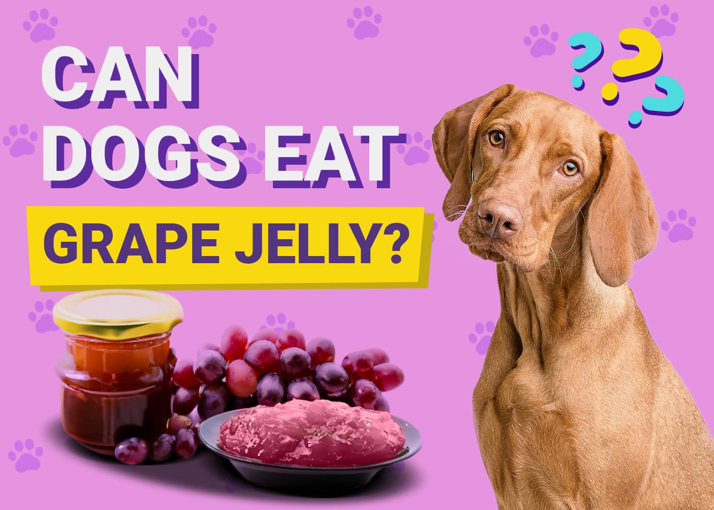 Can Dogs Have Grape Jelly? Vet-Verified Facts & FAQ