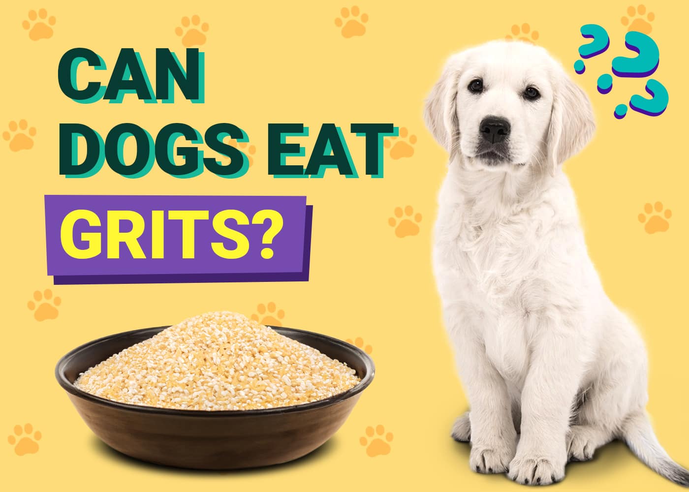Can Dogs Eat Grits? Vet-Verified Nutrition Facts & FAQ