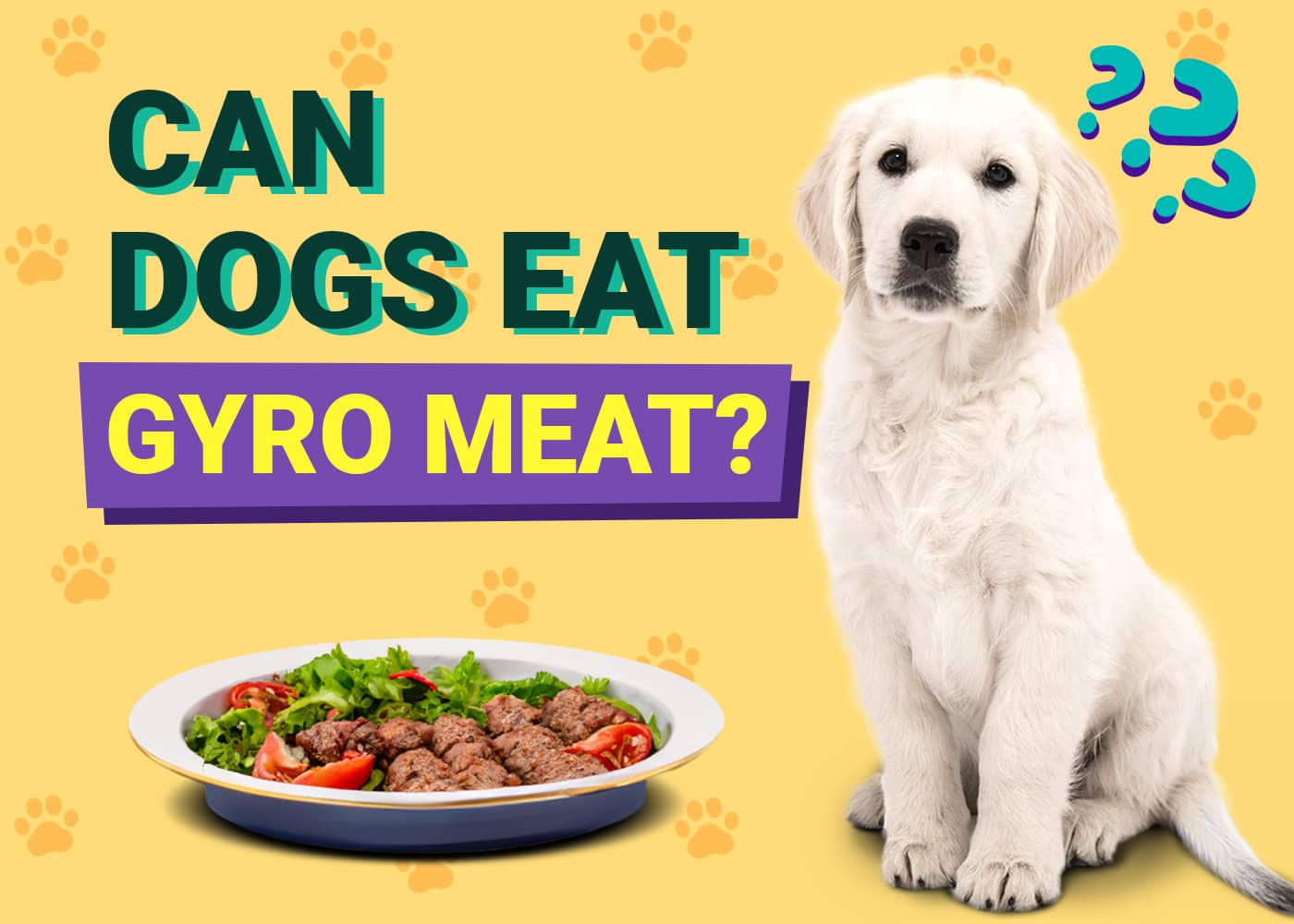 Can Dogs Eat Gyro Meat? Vet-Verified Nutrition Facts & Risks