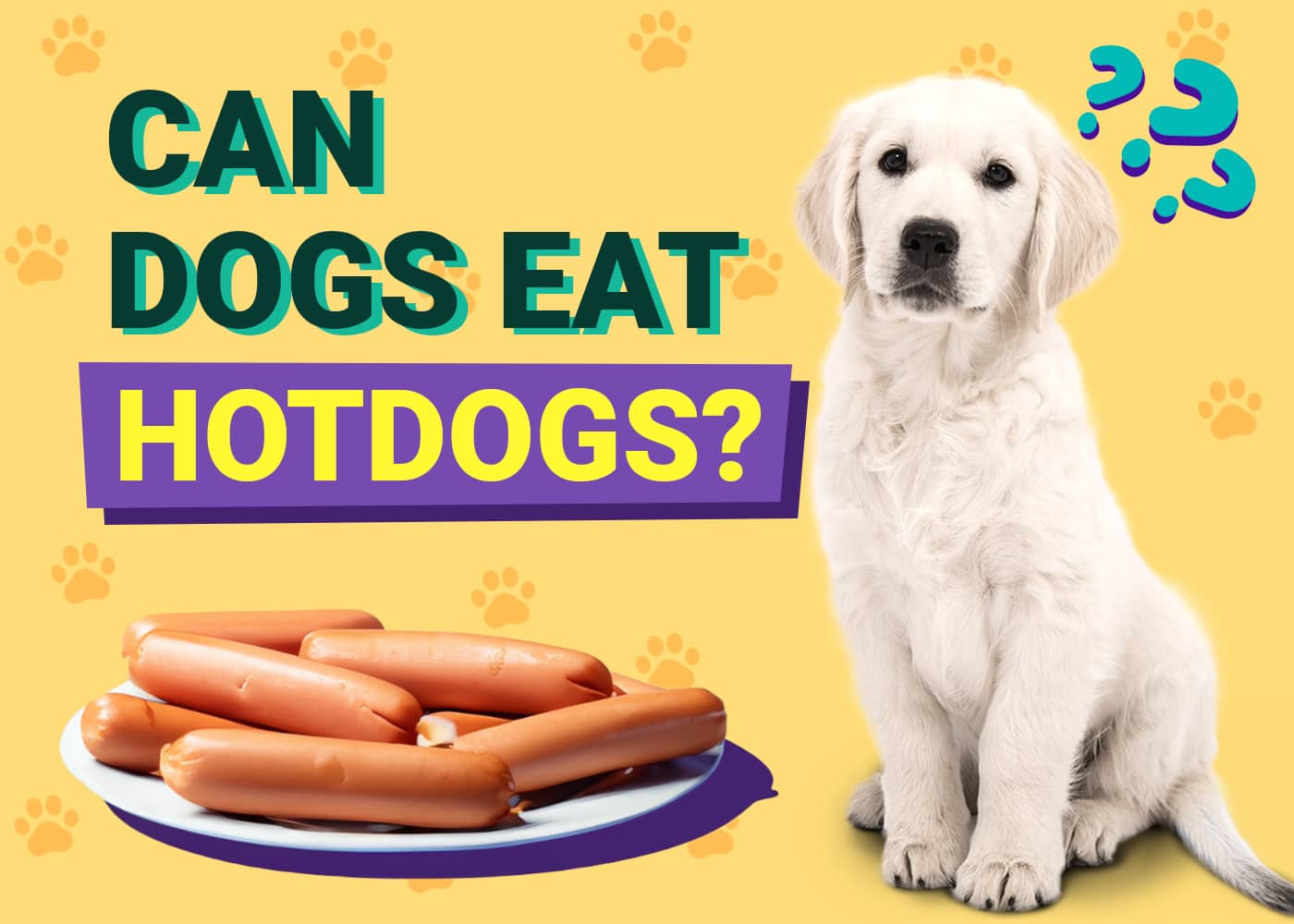 Can Dogs Eat Hot Dogs? Vet-Reviewed Facts & Safety Guide