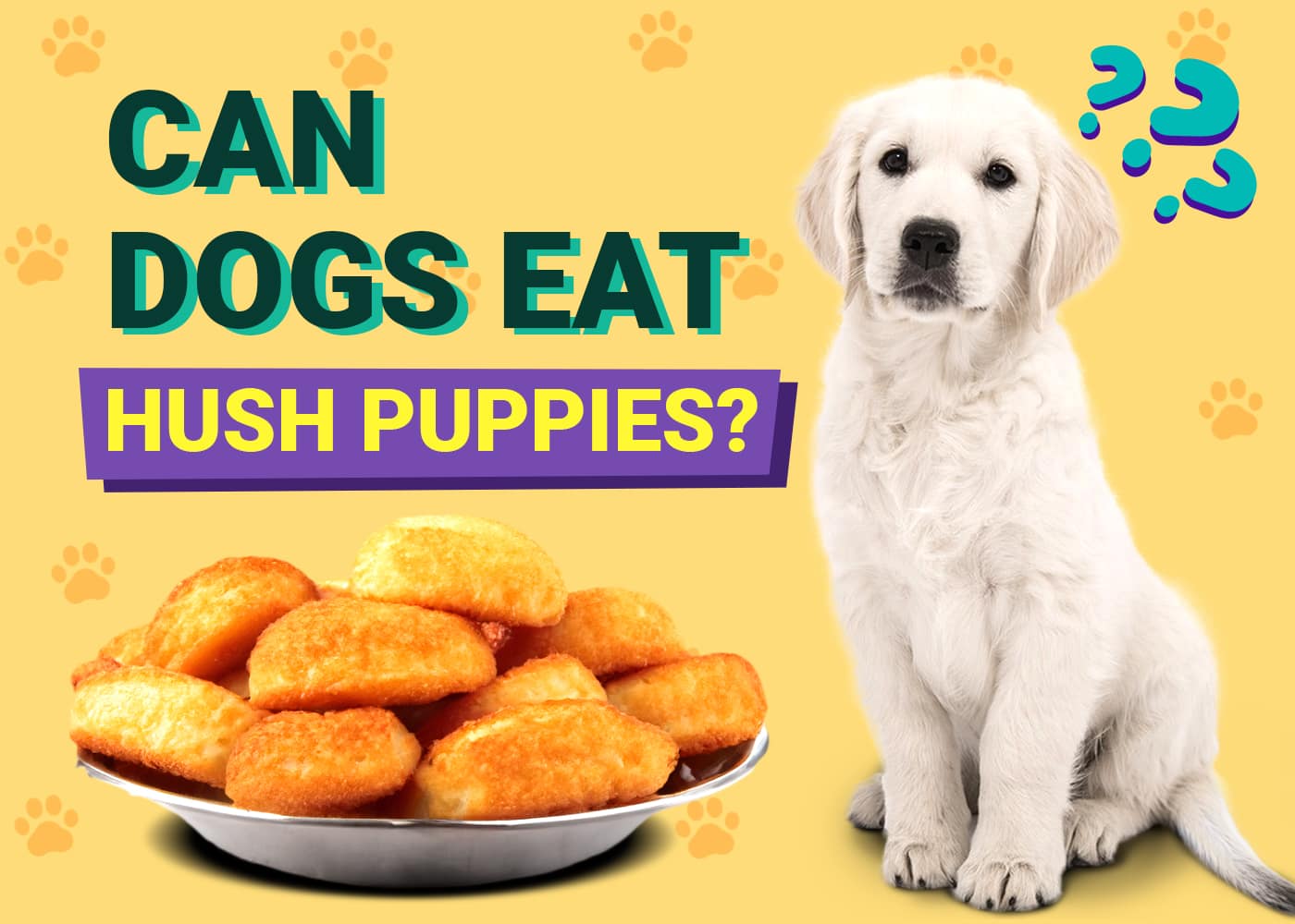Can Dogs Eat Hush Puppies? Vet-Reviewed Facts, Risks & Alternatives