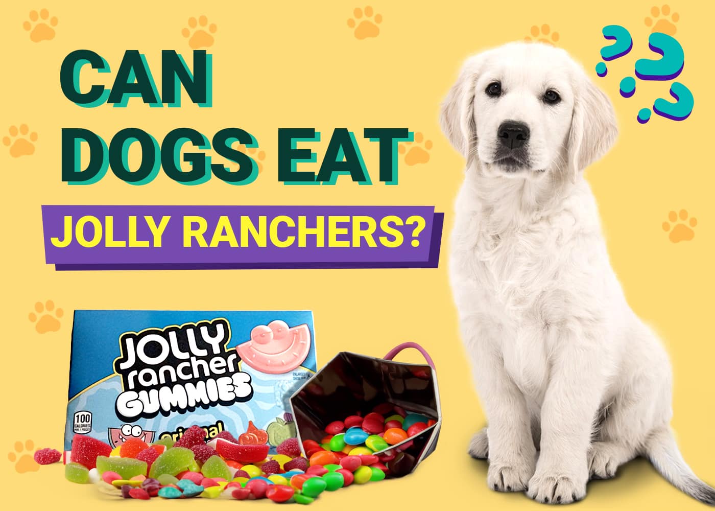 Can Dogs Eat Jolly Ranchers? Vet Approved Facts & FAQ