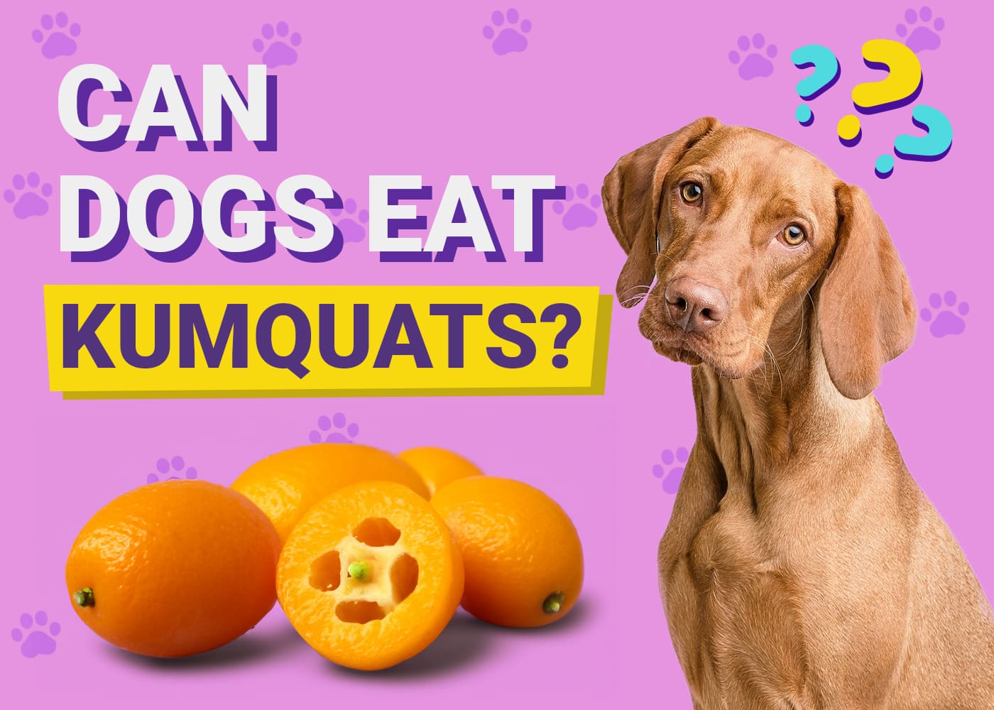 Can Dogs Eat Kumquats? Vet-Reviewed Facts & FAQ