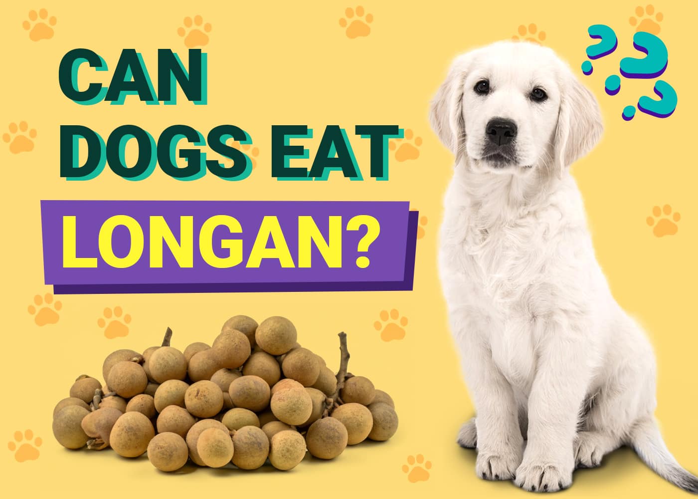 Can Dogs Eat Longan? Vet-Verified Nutrition Facts & FAQ