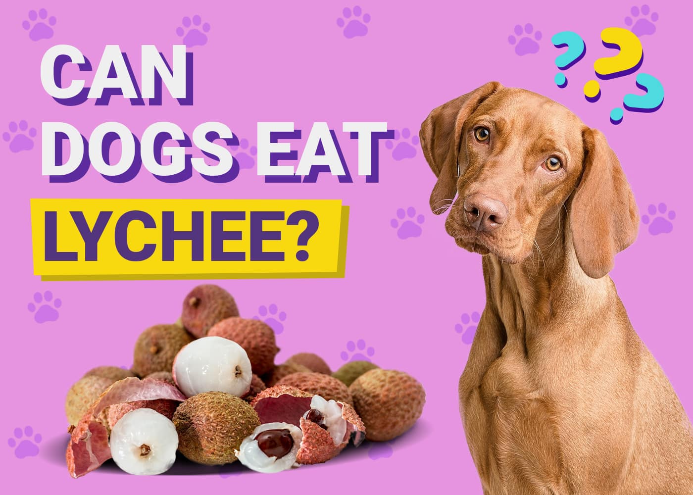 Can Dogs Eat Lychee? Vet-Reviewed Nutrition Facts & FAQ
