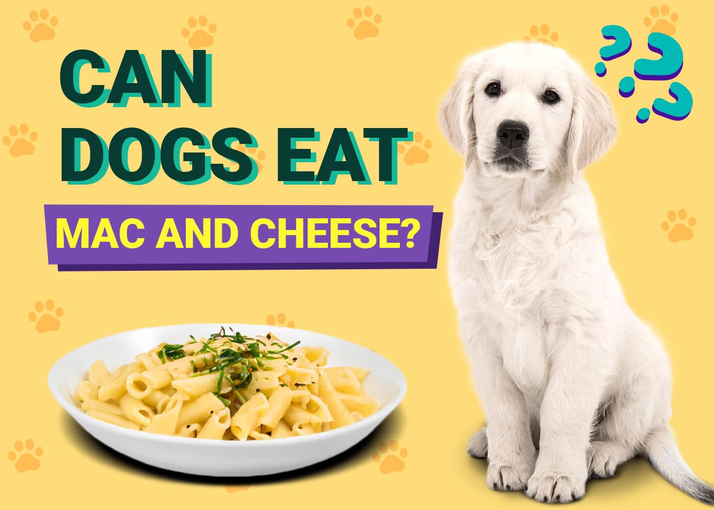 Can Dogs Eat Mac and Cheese? Vet-Reviewed Nutrition Facts & Safety Guide