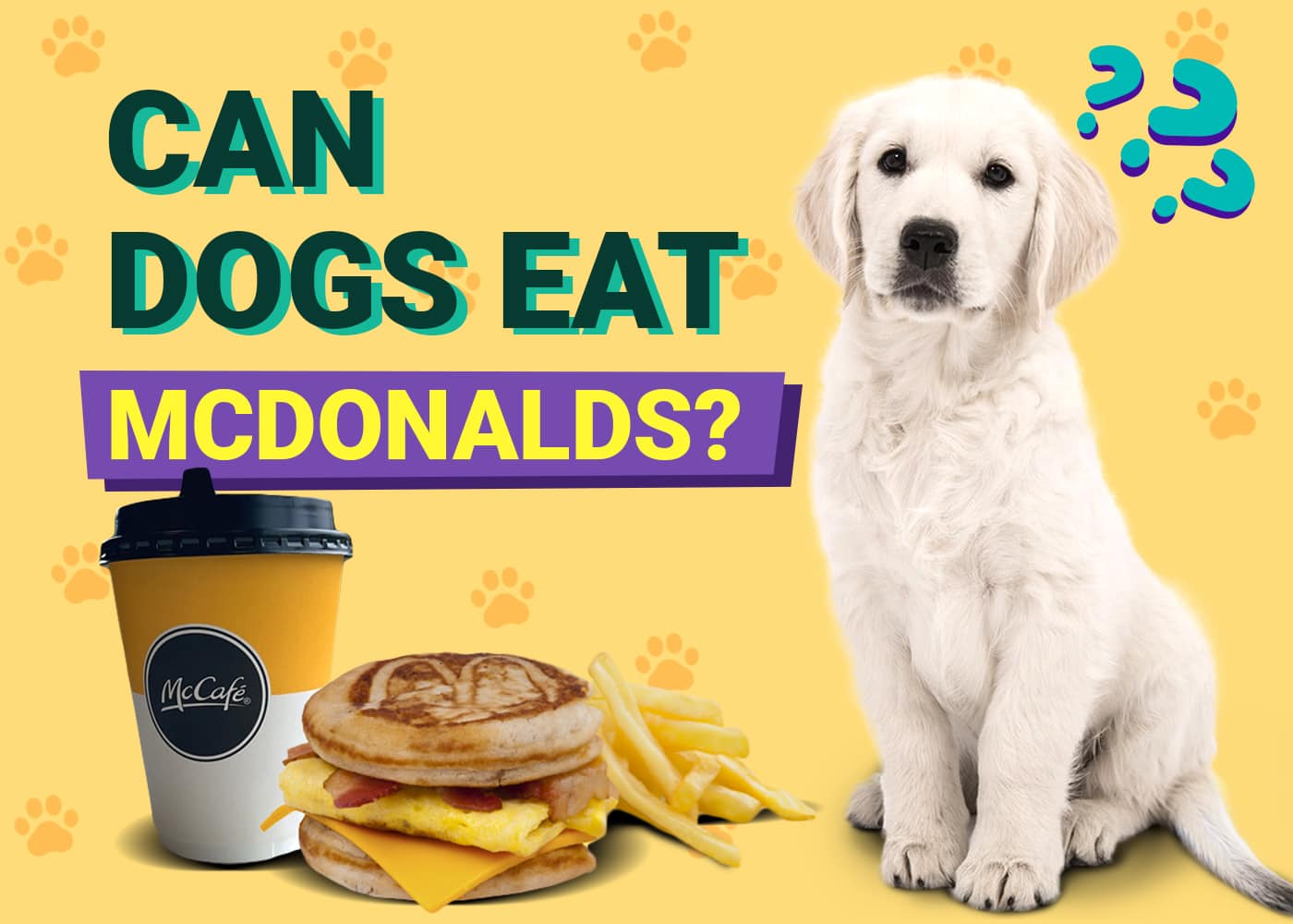Can Dogs Eat McDonald’s? Vet-Approved Health Risks & FAQ