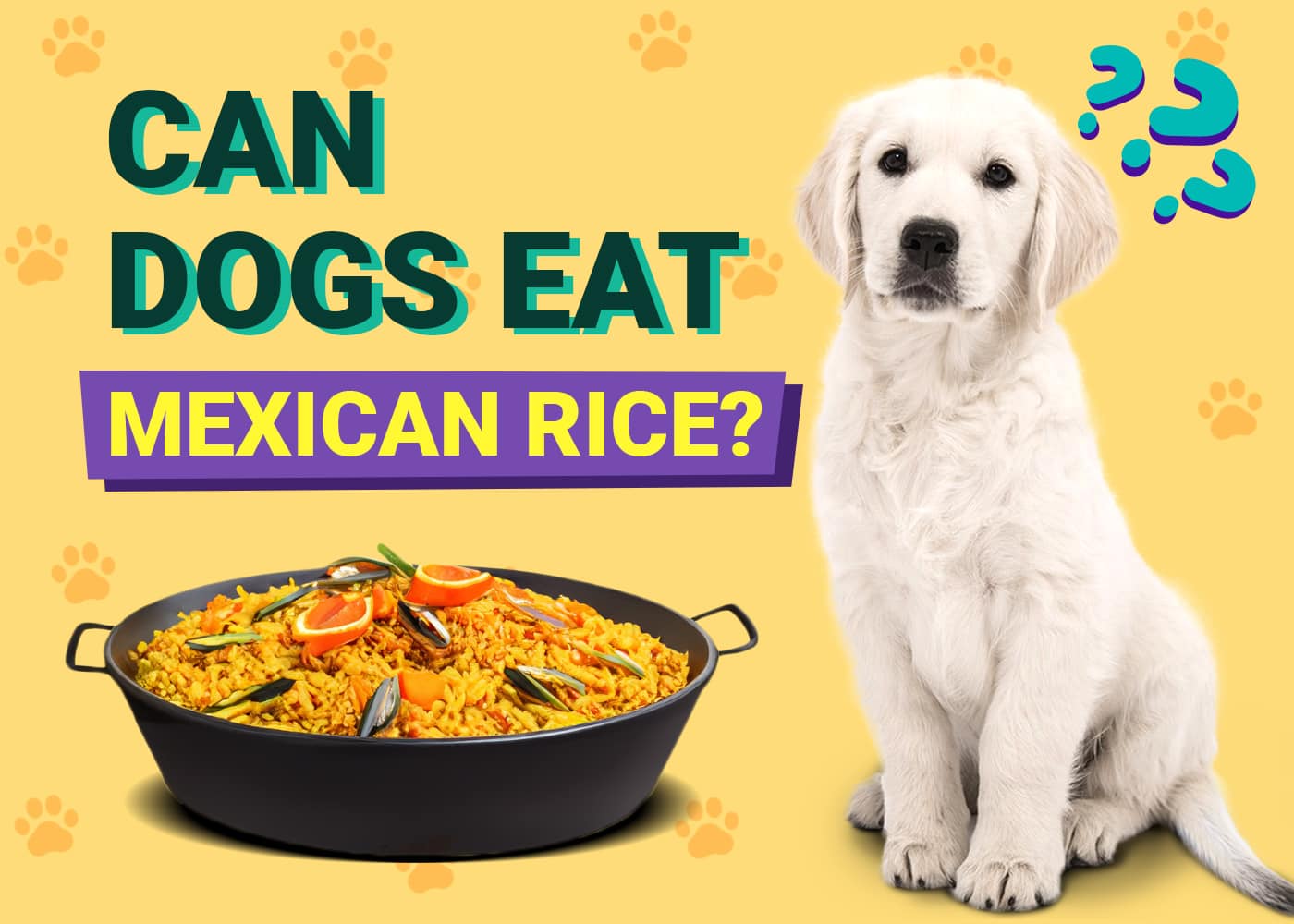 Can Dogs Eat Mexican Rice? Vet-Verified Facts & Tips