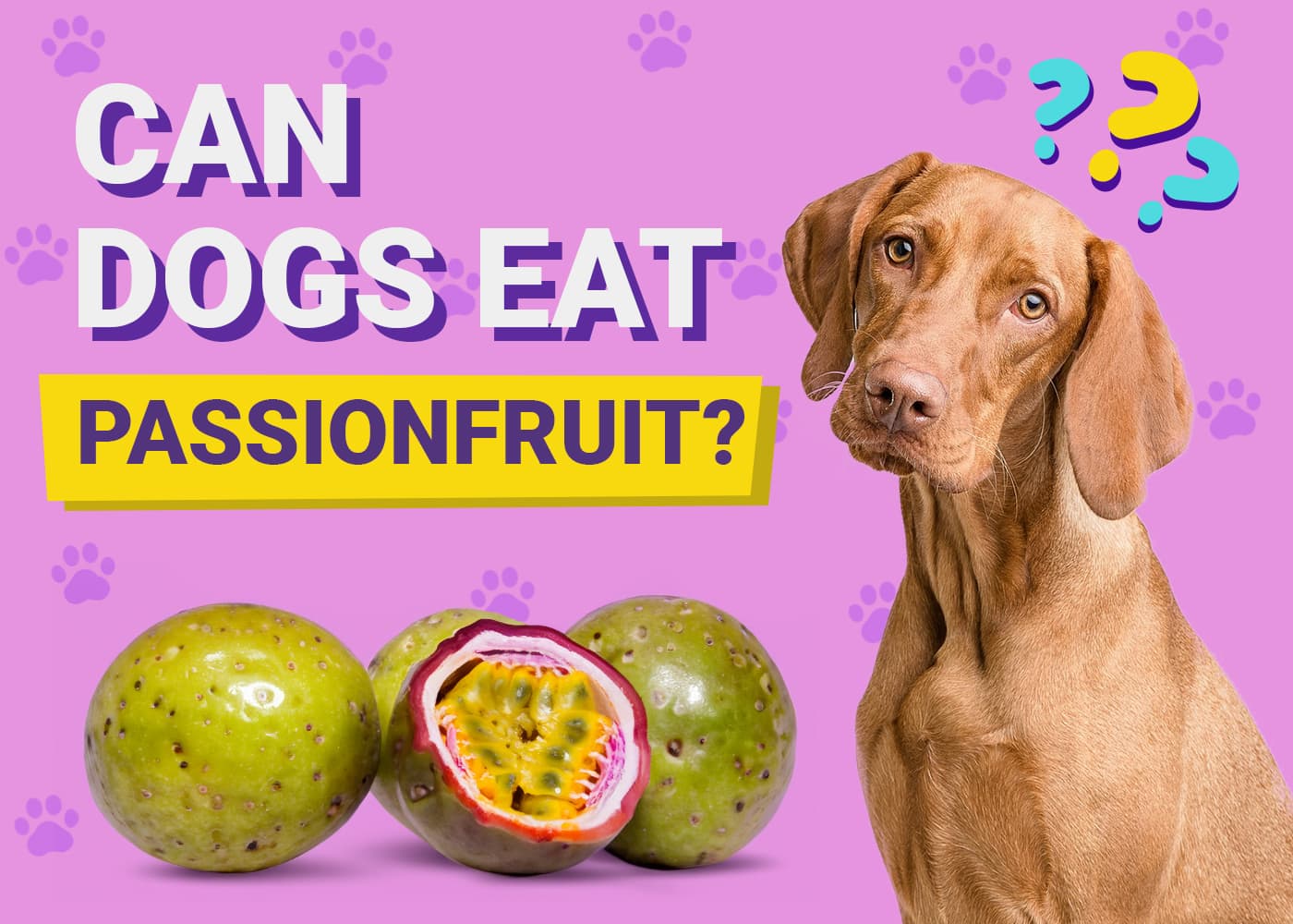 Can Dogs Eat Passionfruit? Vet-Verified Nutrition Facts & Risks
