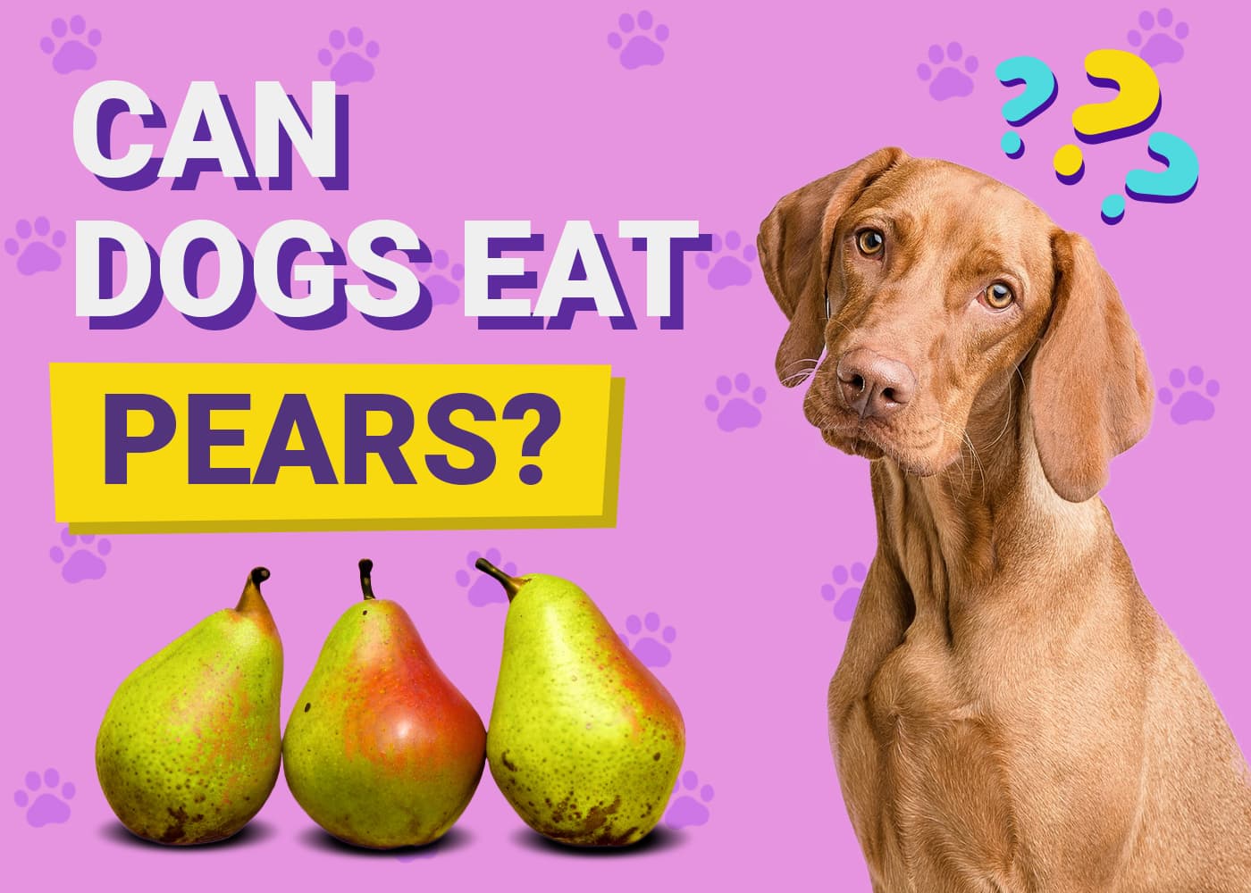 Can Dogs Eat Pears? Vet-Approved Facts & FAQ