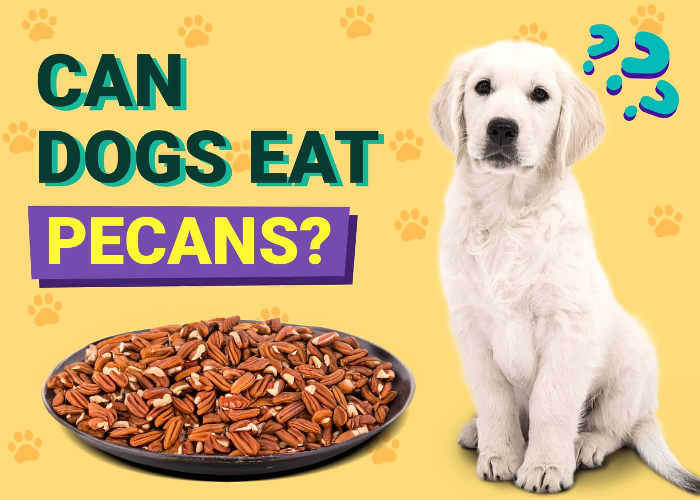 Can Dogs Eat Pecans? Vet-Reviewed Facts & Safety Guide