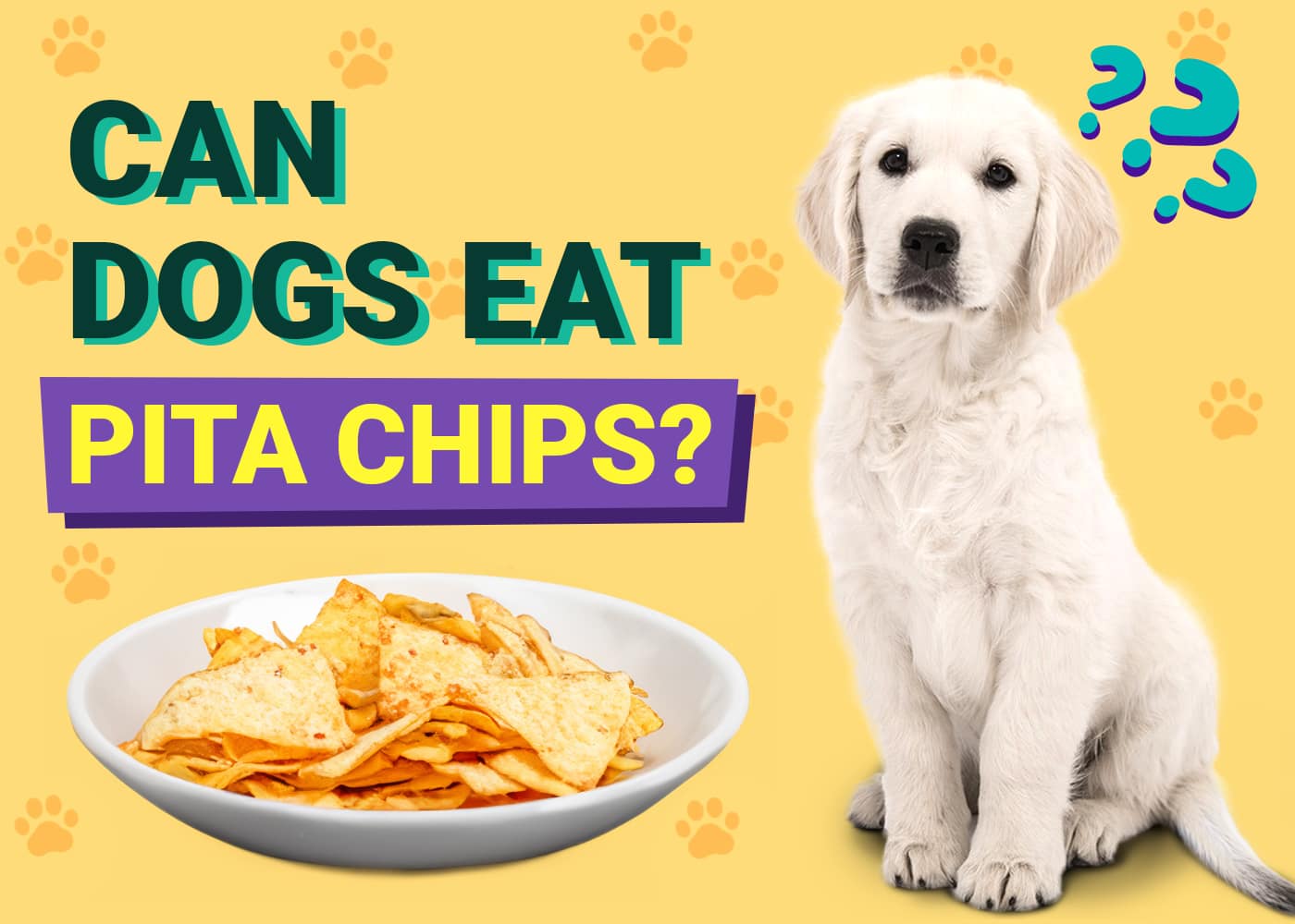 Can Dogs Eat Pita Chips? Vet-Reviewed Nutrition Facts & FAQ