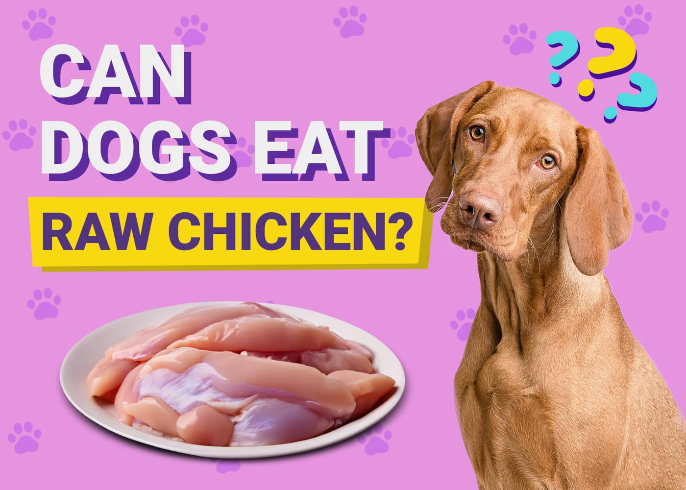 Can Dogs Eat Raw Chicken? Vet-Verified Dietary Facts & FAQ