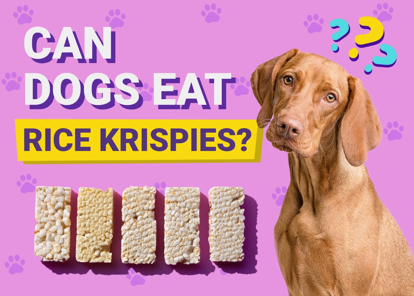 Can Dogs Eat Rice Krispies? Vet-Reviewed Facts & FAQ