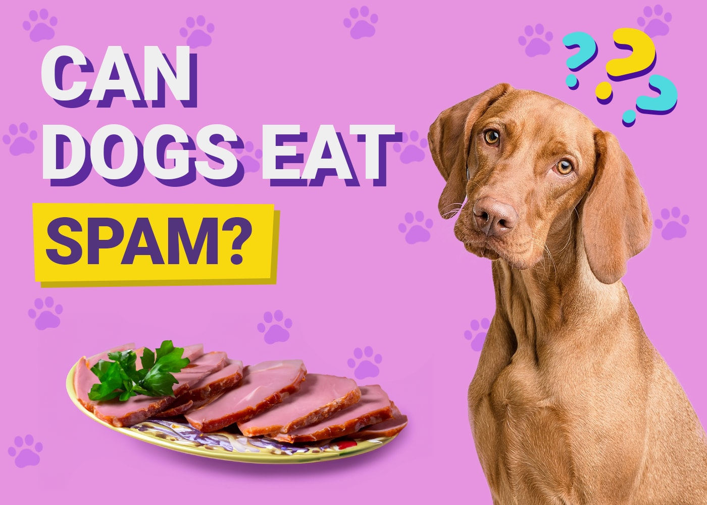 Can Dogs Eat Spam? Vet-Verified Nutritional Facts & FAQ