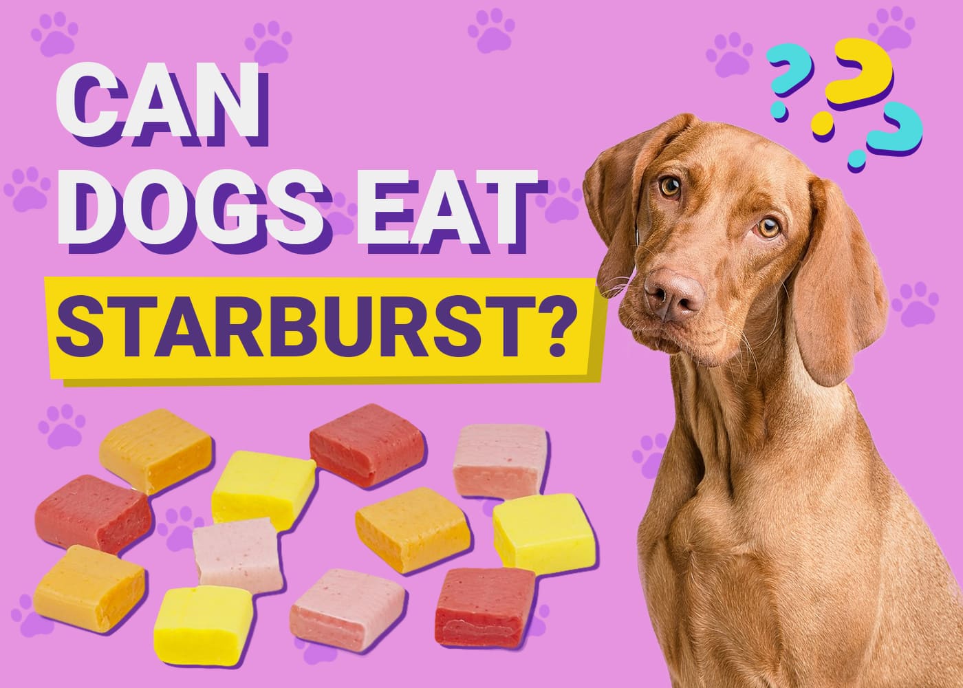 Can Dogs Eat Starburst? Vet-Reviewed Facts & FAQ