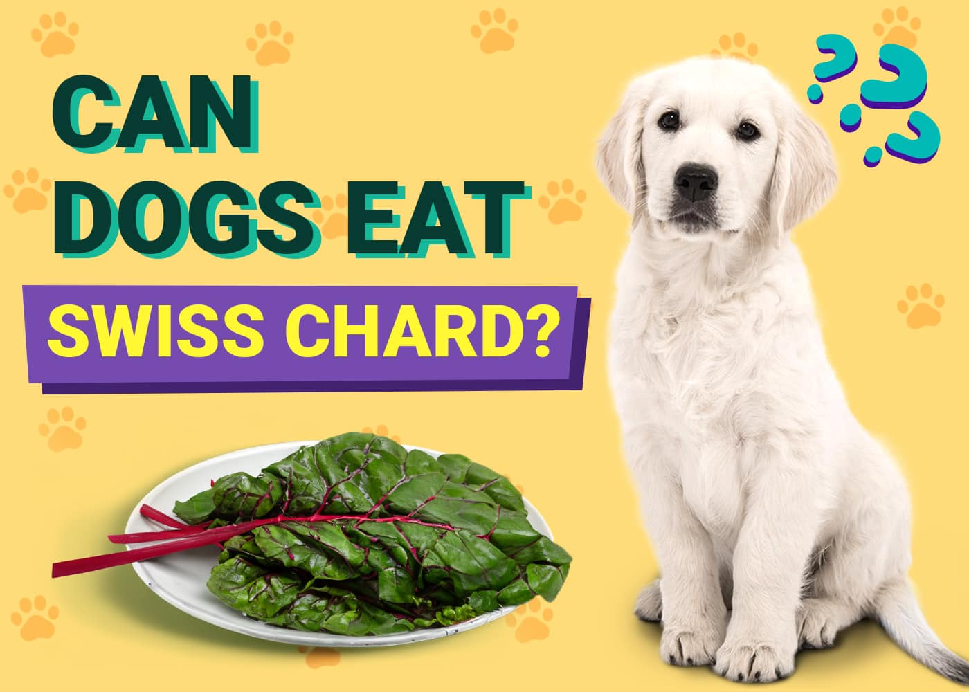 Can Dogs Eat Swiss Chard? Vet-Verified Nutrition Facts & Risks