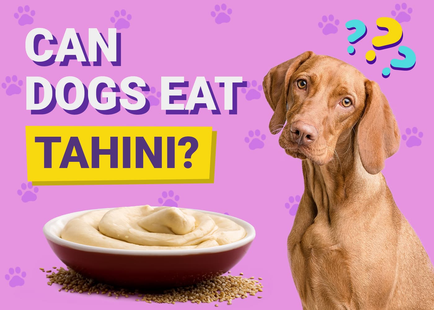 Can Dogs Eat Tahini? Vet-Verified Facts & FAQ
