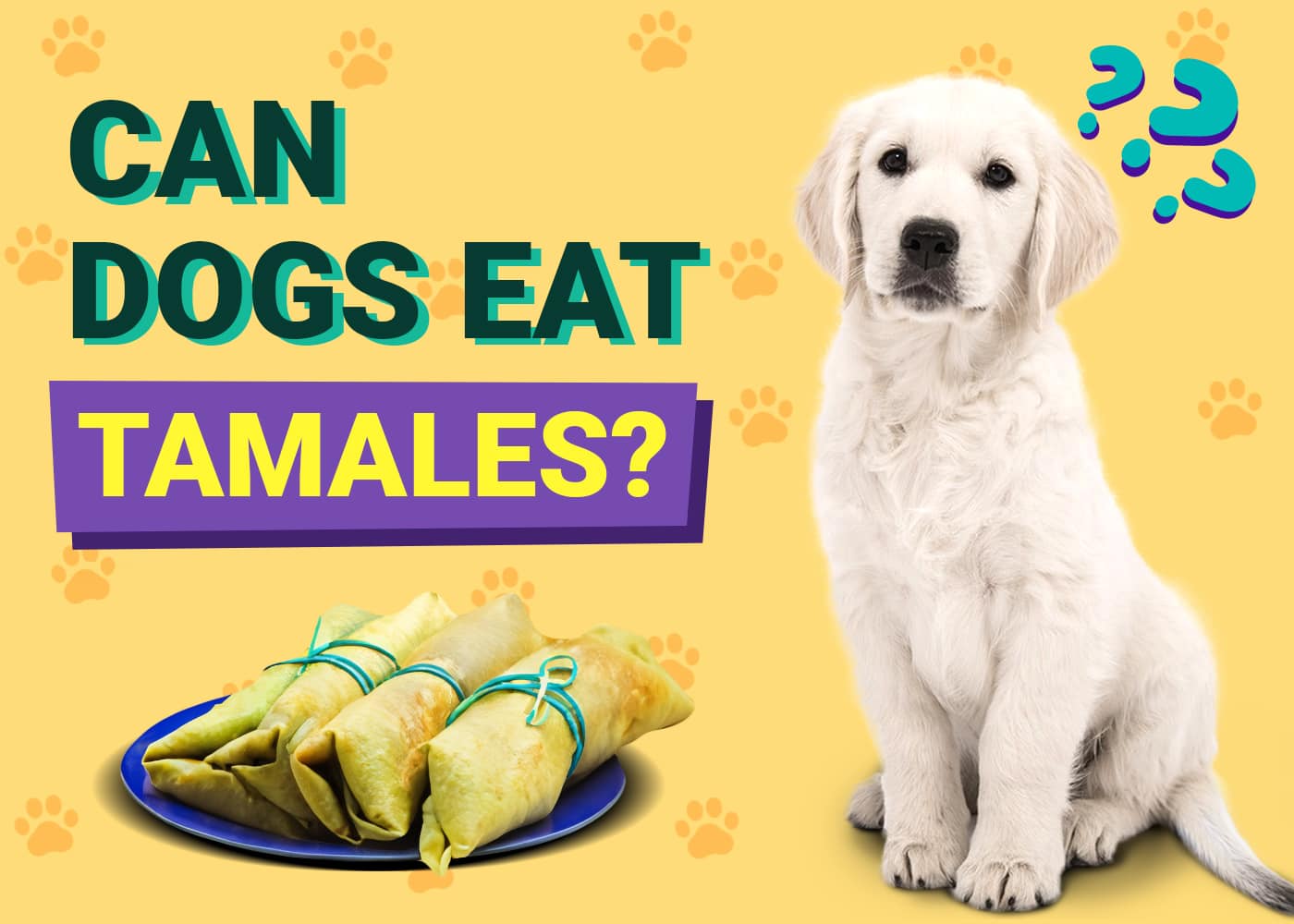Can Dogs Eat Tamales? Vet-Verified Nutrition Facts & FAQ