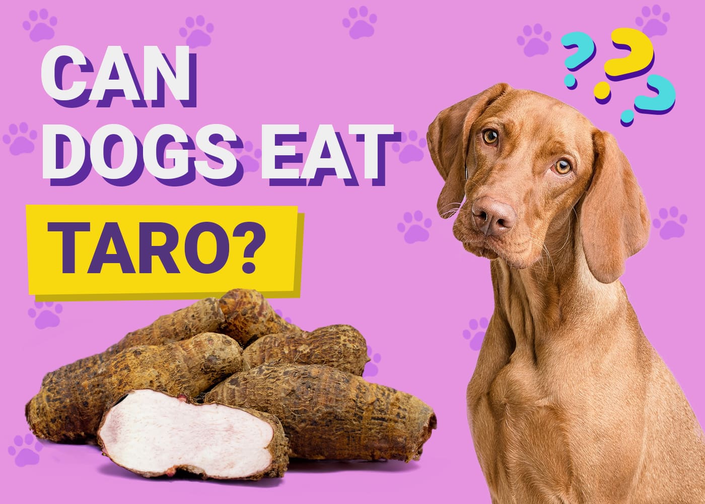 Can Dogs Eat Taro? Vet-Verified Nutrition Facts & FAQ
