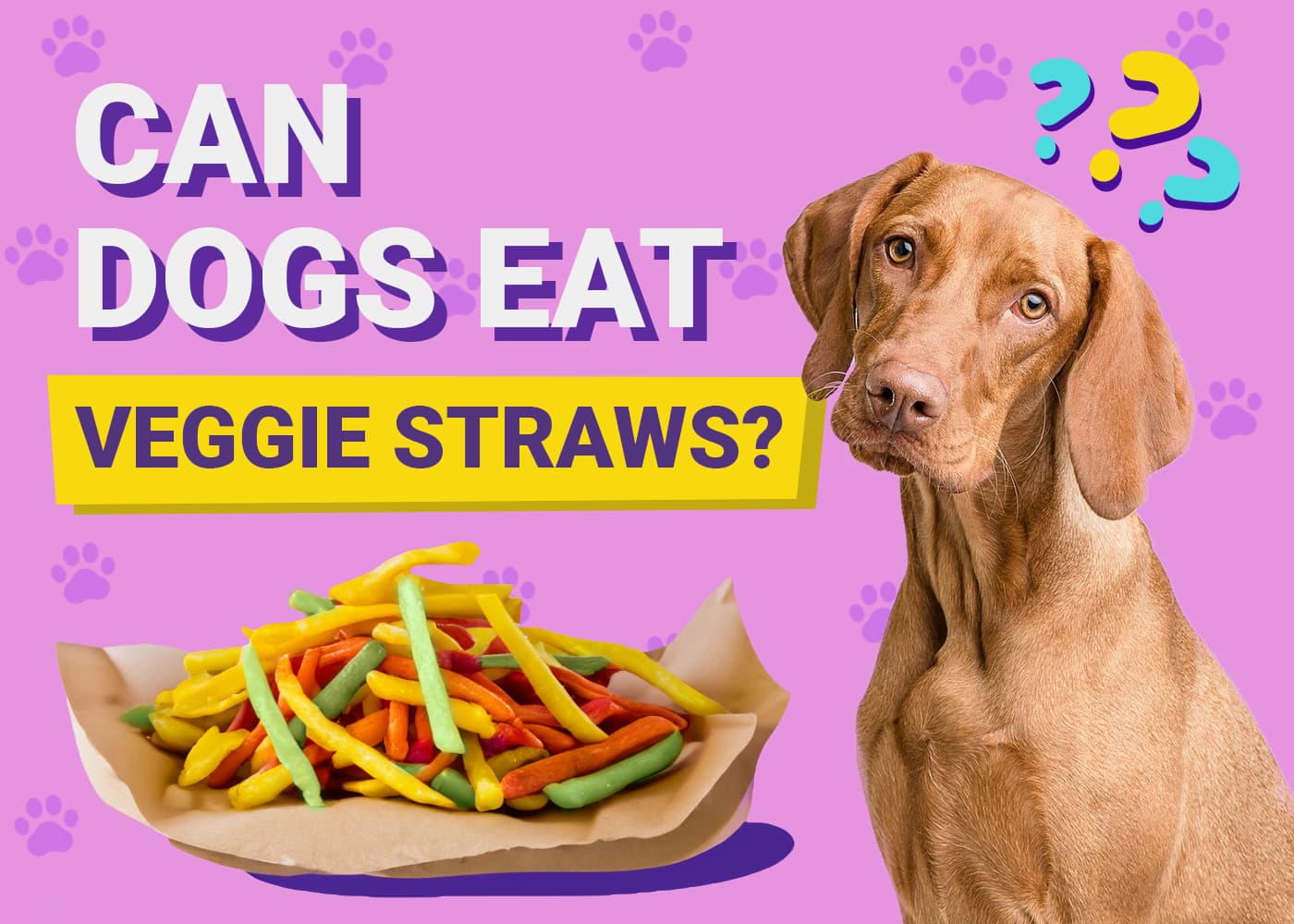 Can Dogs Eat Veggie Straws? Vet-Reviewed Facts & FAQ