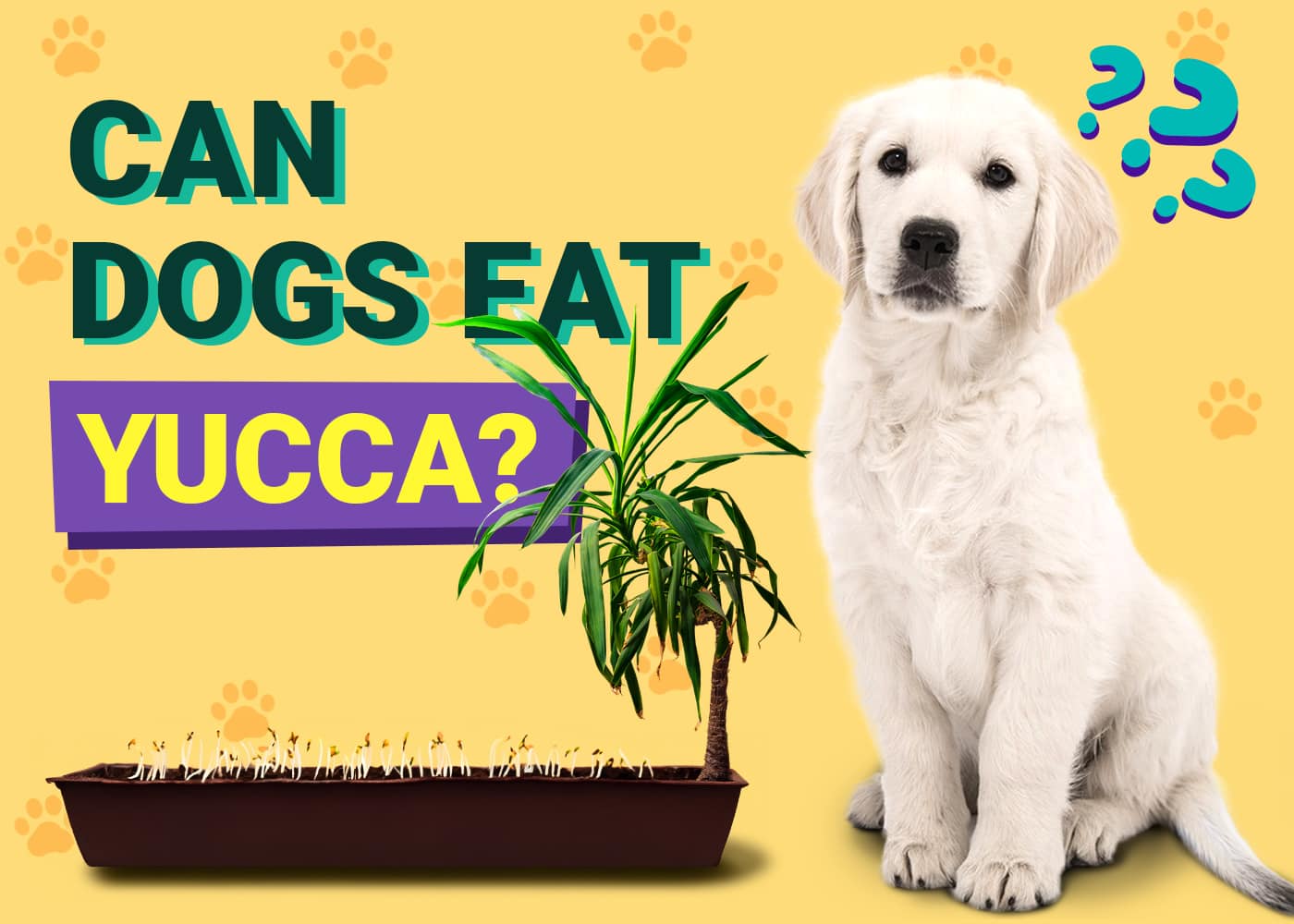 Can Dogs Eat Yucca? Vet-Verified Facts & FAQ