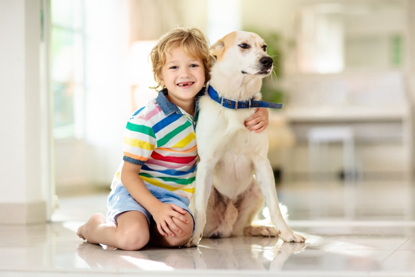 What’s the Best Age for Your Child to Get a Dog? Signs, Tips & Responsibilities