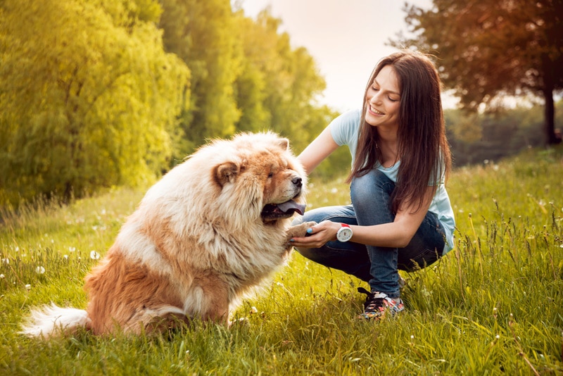 When Is a Dog Considered an Adult? Vet-Approved Facts & FAQ