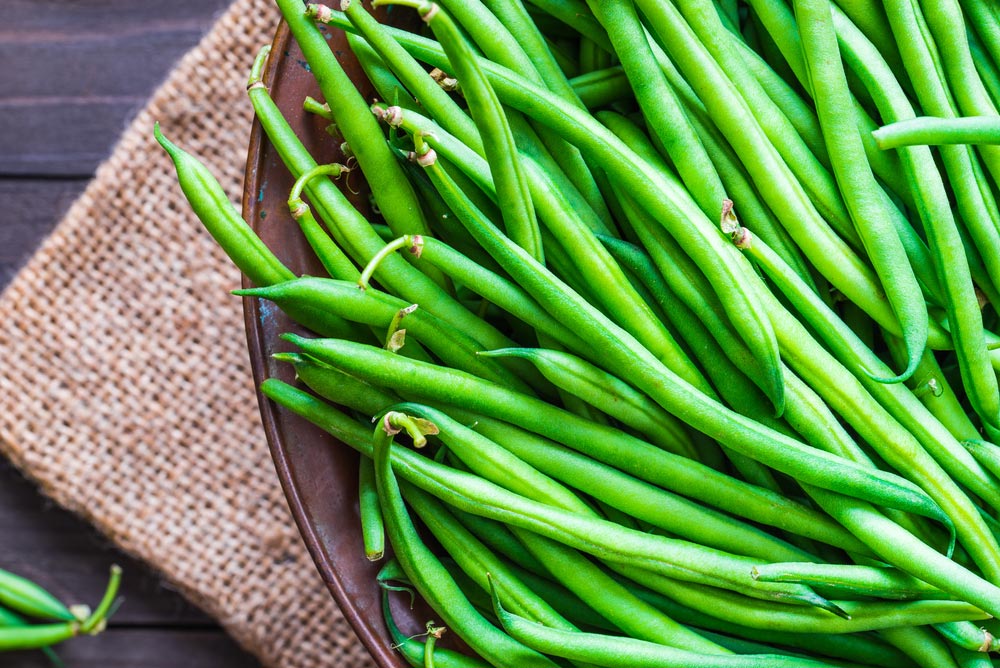 Can Dogs Be Allergic to Green Beans? Vet-Reviewed Dog Allergy Advice
