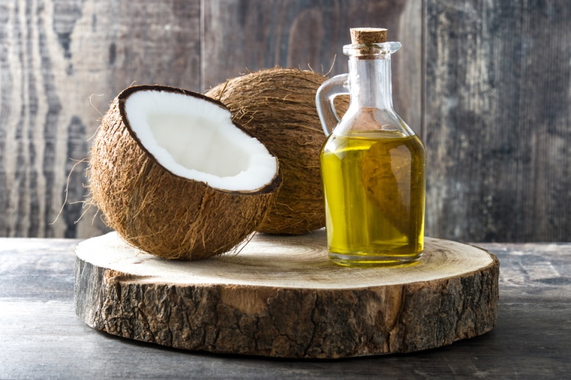 Can You Put Coconut Oil on a Dog’s Paws? Science-Based Facts & FAQ