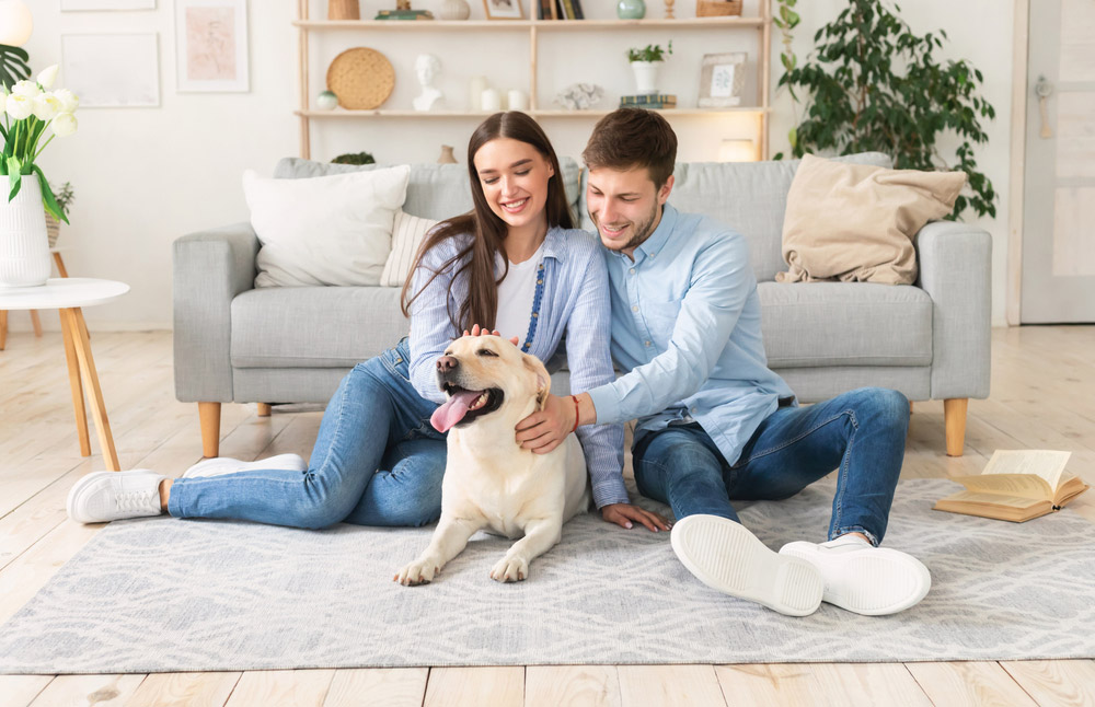How to Remove Dog Odor From Your House: 15 Vet-Approved Tips