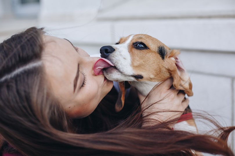 Are Beagles Good Family Dogs? Breed Temperament Explained
