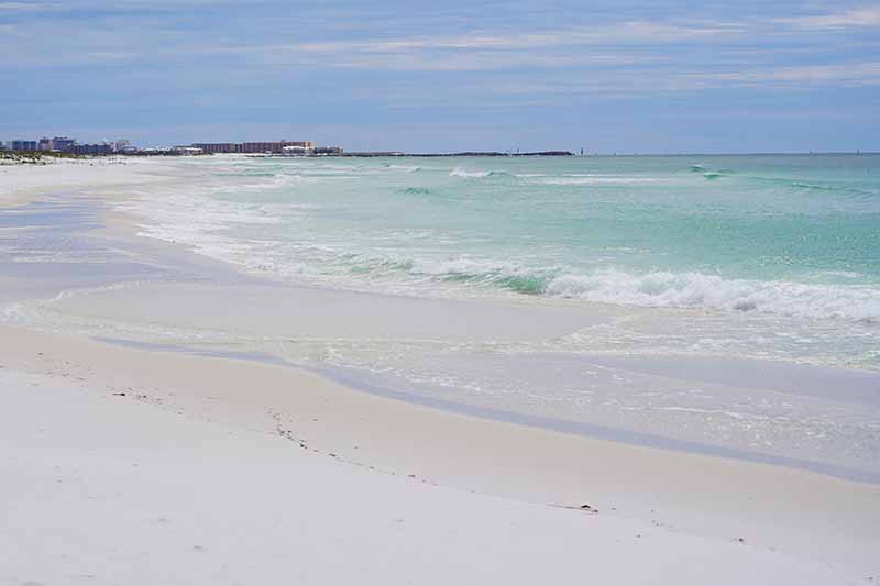 Are Dogs Allowed on Destin Beaches in 2026? Rules & Location Guide
