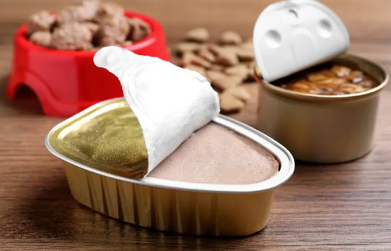 Semi-Moist, Dry & Canned Dog Food: Vet-Reviewed Pros & Cons
