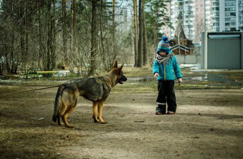 Why Does My Dog Bark at Kids? 6 Likely Reasons