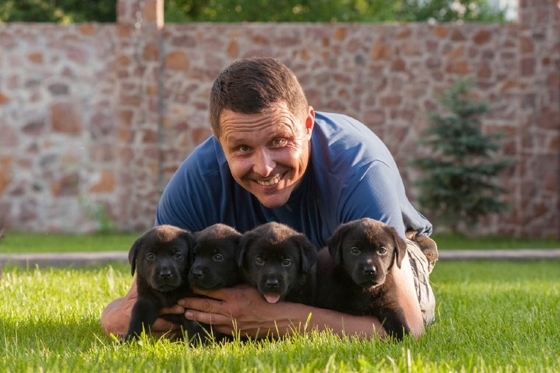 How Much Do Dog Breeders Make? (2026 Salary Overview)
