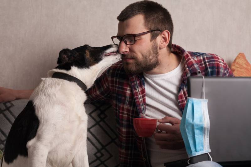 What and When Is Doggie Date Night 2026? Here's How to Celebrate