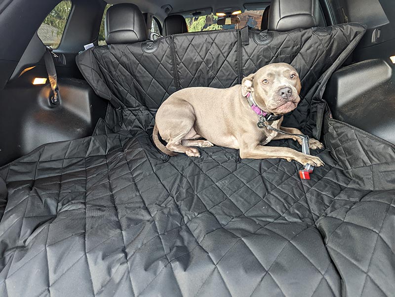 dog lying on 4knines dog split suv cargo liner