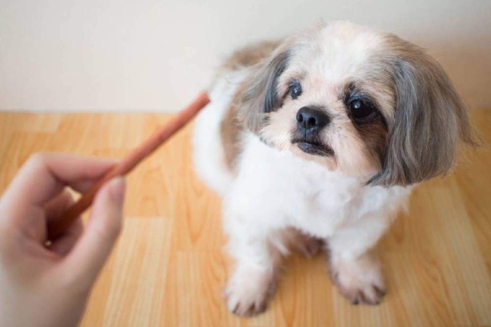 10 Best Freeze-Dried Dog Treats in 2026 - Reviews & Top Picks
