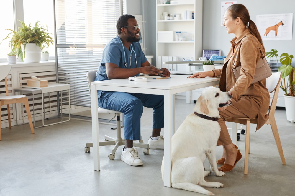 What Is a Fear-Free Veterinary Clinic? Vet-Reviewed Facts