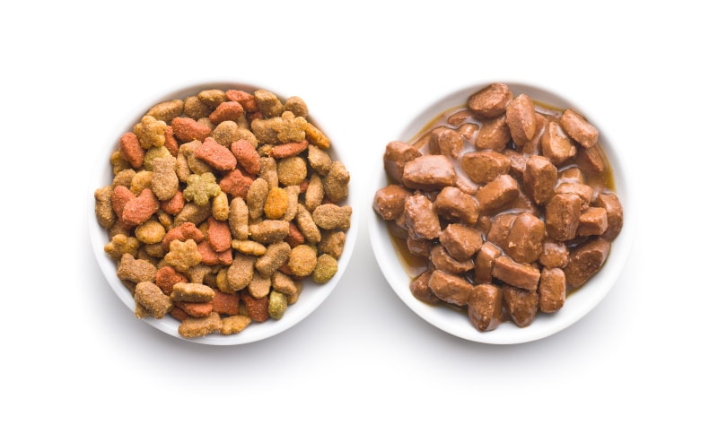7 Best Wet Dog Foods to Mix With Dry in 2026 - Reviews & Top Picks