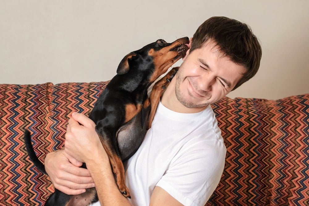 Why Does My Dog Try to Lick My Ears? 4 Likely Reasons