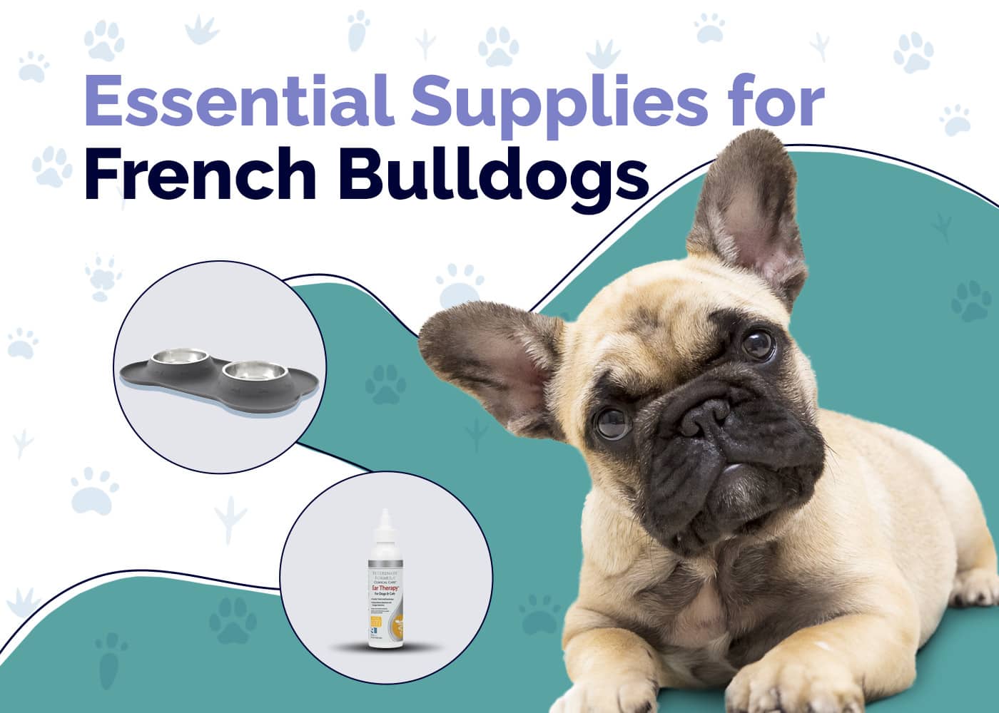 10 Essential French Bulldog Accessories & Supplies: 2026 Vet-Reviewed Guide
