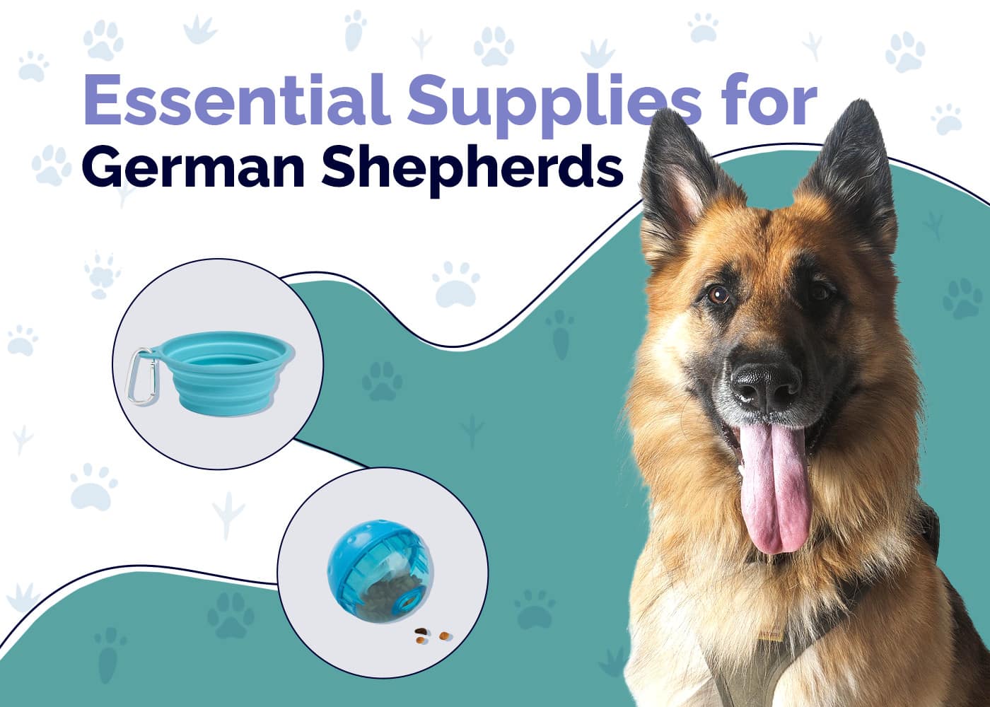 25 Essential German Shepherd Supplies to Get You Started: 2026 Update
