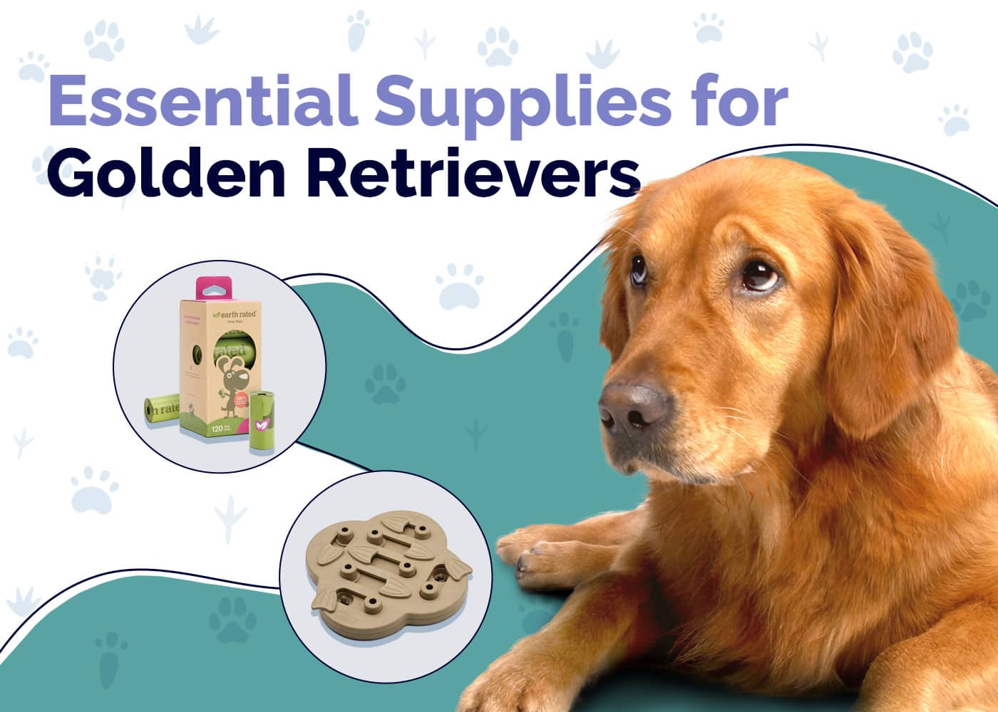 19 Essential Golden Retriever Supplies to Get You Started: 2026 Vet-Reviewed Guide