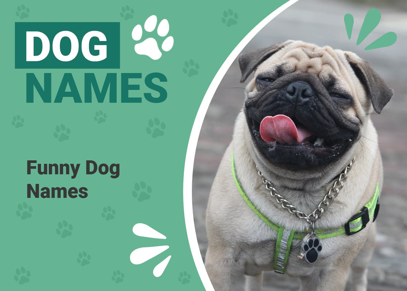 100 Funny Dog Name Ideas Based on The Simpsons