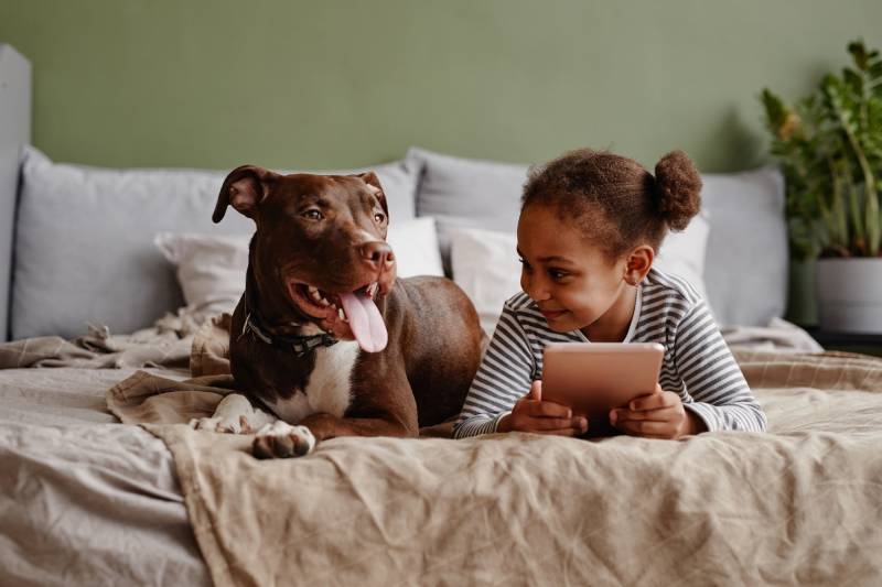 Will a Pitbull Be Good With My Kids? Temperament & Personality Traits