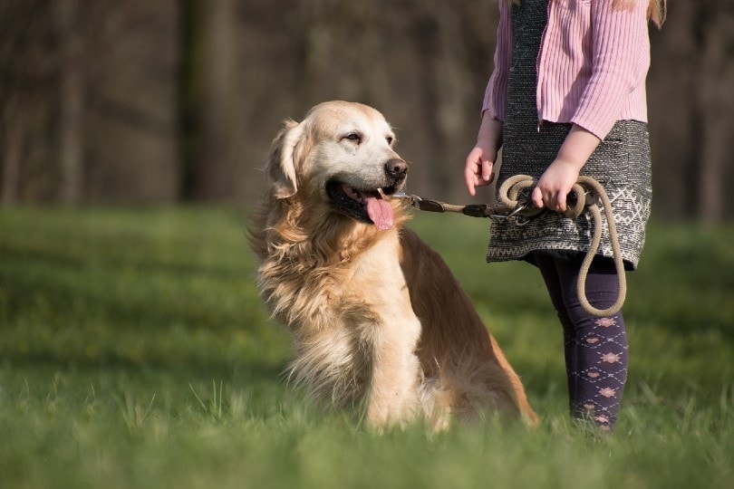 10 Reasons Why Pets Are Great for Kids: Vet-Reviewed Facts & FAQ