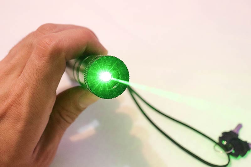 Do Dogs Chase Laser Pointers? Vet-Verified Safety Considerations & FAQ